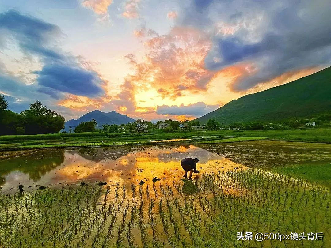 农村生活好环境好空气清新,农村乡村环境