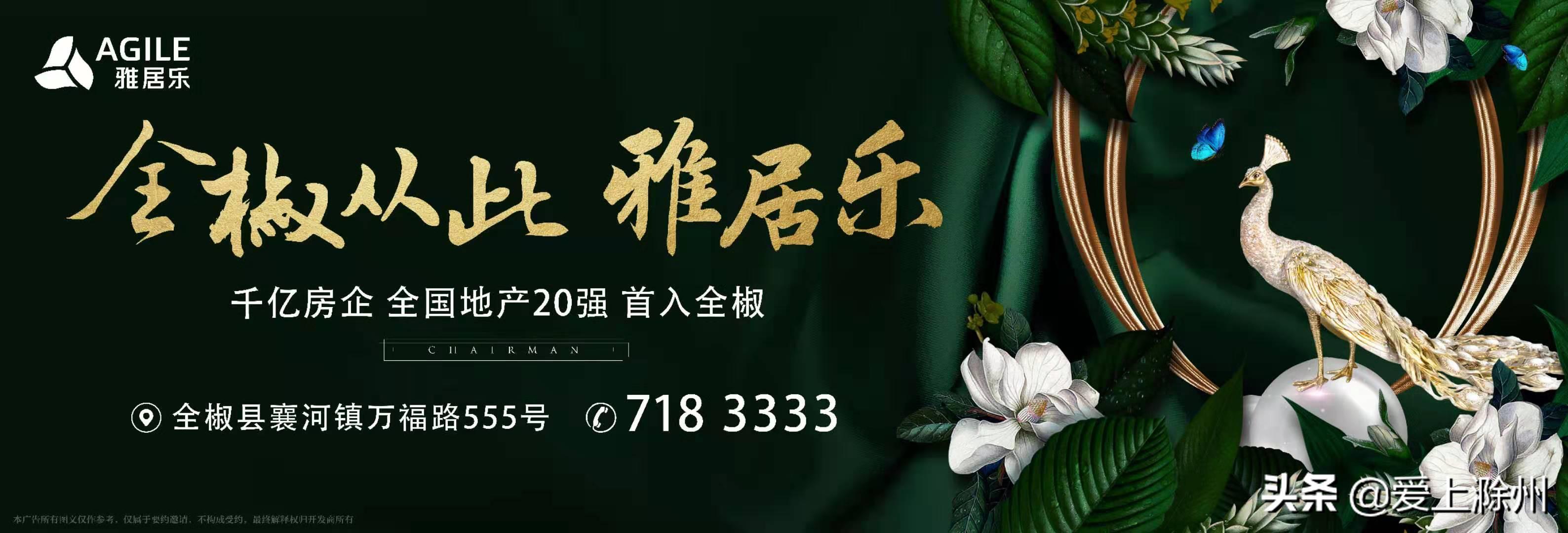 雅居乐品牌焕新,雅居乐有什么产品