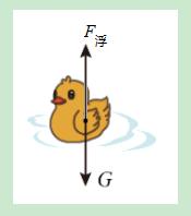 初二物理期末考试试卷2021答案,人教版八年级物理期末考试及答案