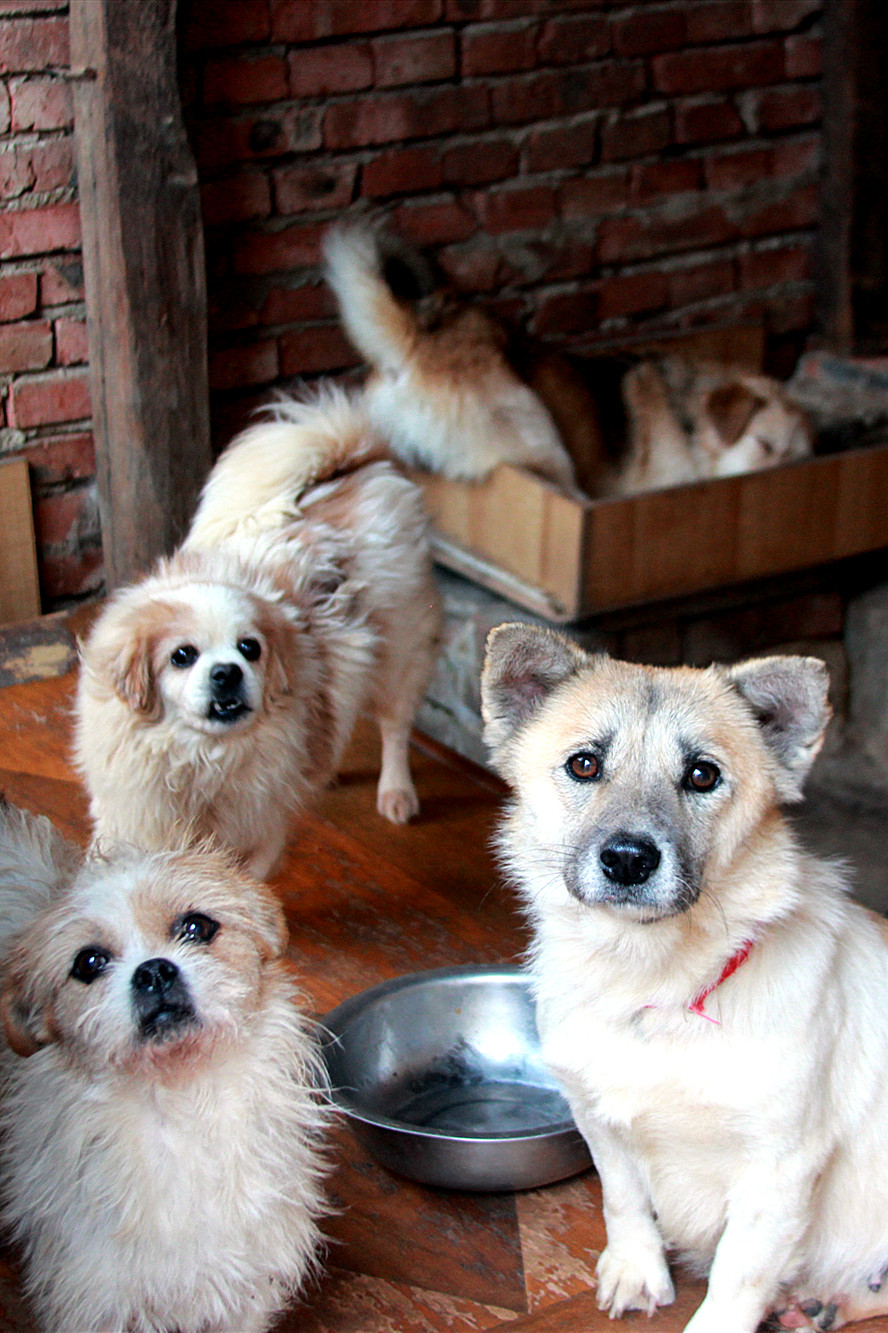 每一个生命都需要被尊重和善待,每一个生命都要被尊重被温暖