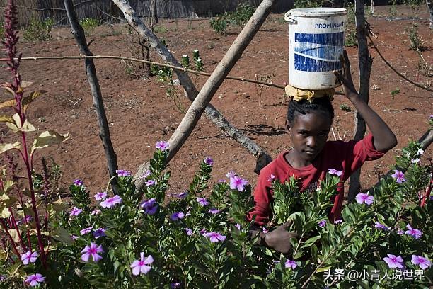 非洲的赞比亚女子身材火辣而且生活平静，赞比亚是个怎样的国家