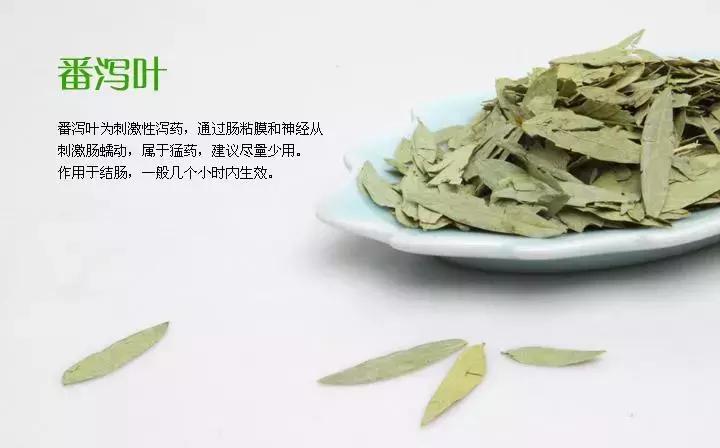 大麦若叶青汁含左旋肉碱吗,大麦青汁减肥法