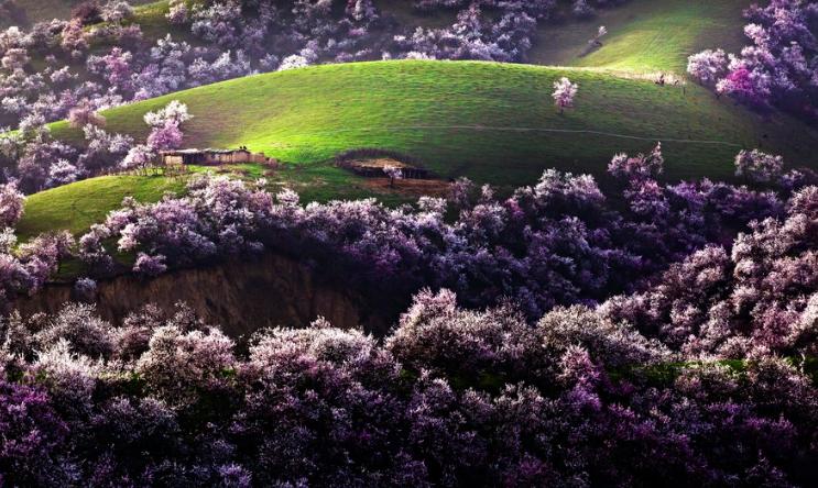 叶绍翁50首诗,叶绍翁10首经典诗词