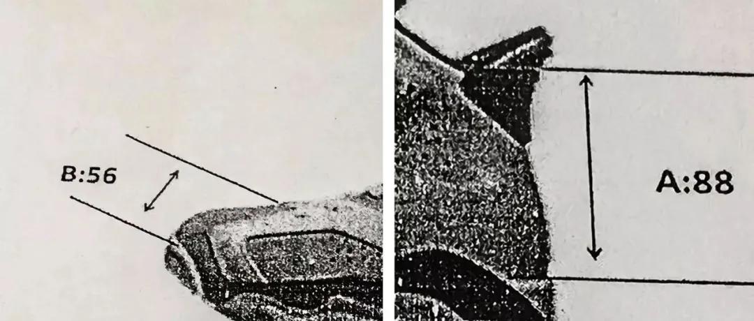 都是非鉴定范围，如果没有鞋盒，TS6现在还能鉴定吗？