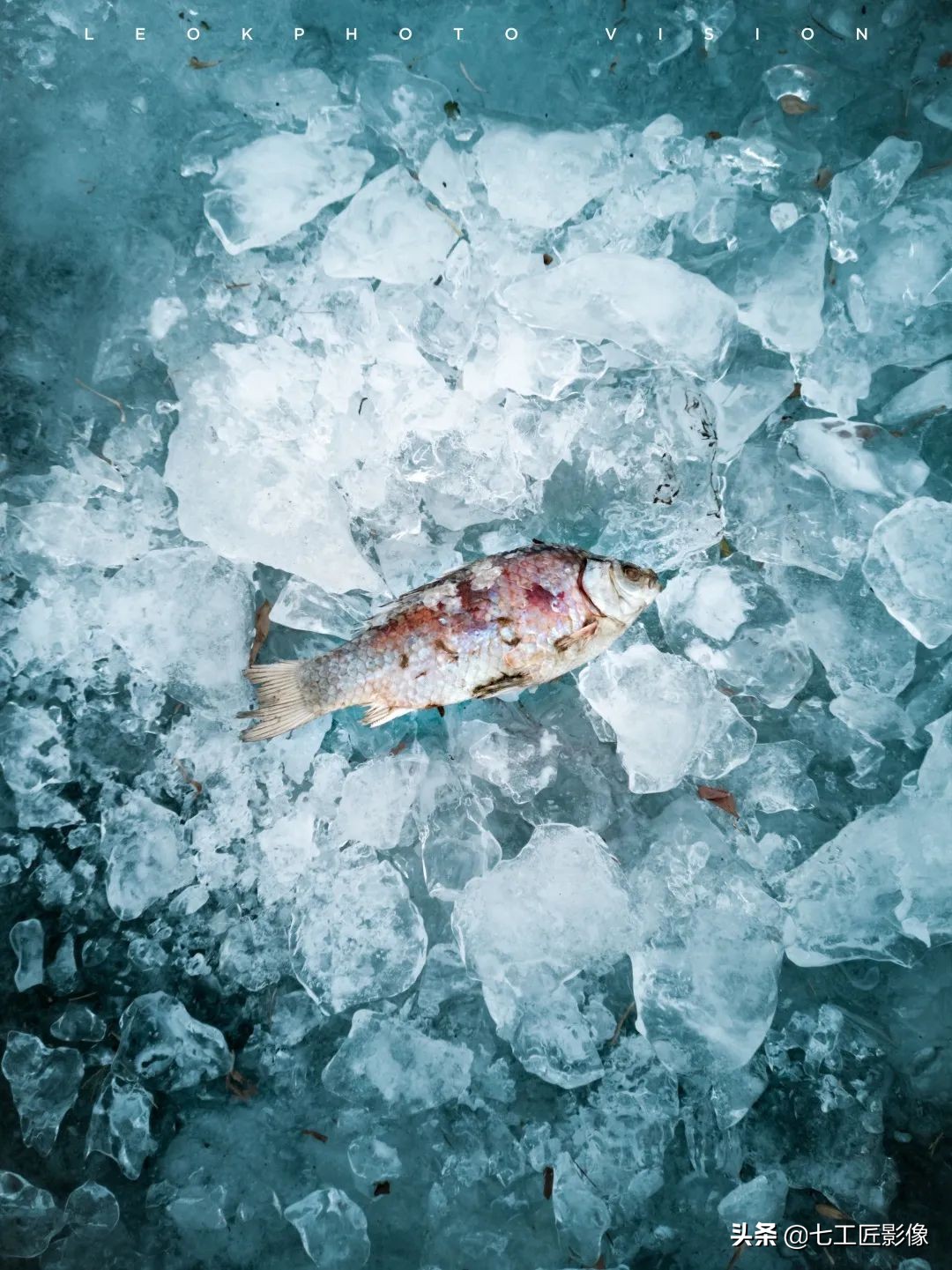 万金油镜头是哪个焦段,50-80焦段怎么选