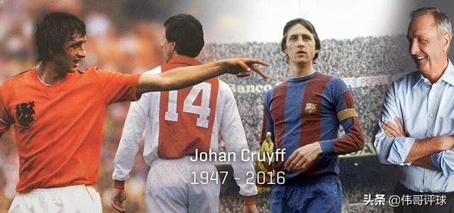 荷兰郁金香克鲁伊夫,克鲁伊夫郁金香