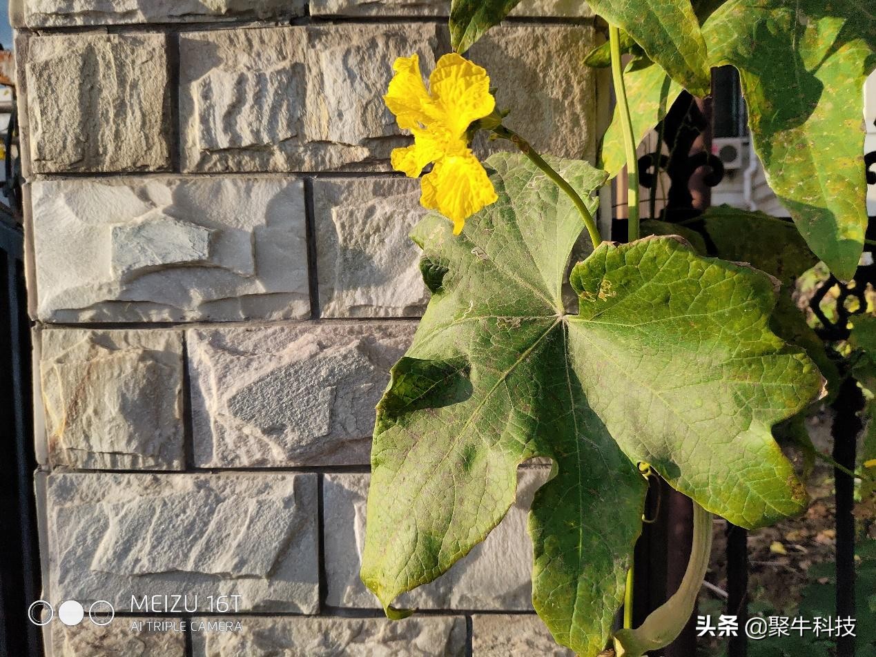 用大屏玩游戏,用中控屏玩游戏