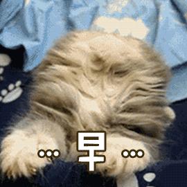 合肥步行街喷泉,合肥肥东抖音打卡网红地