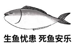 可爱小猫表情包搞笑图片,开心表情包可爱搞笑图片