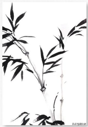 兰竹组合水墨画,兰竹图怎么画好看