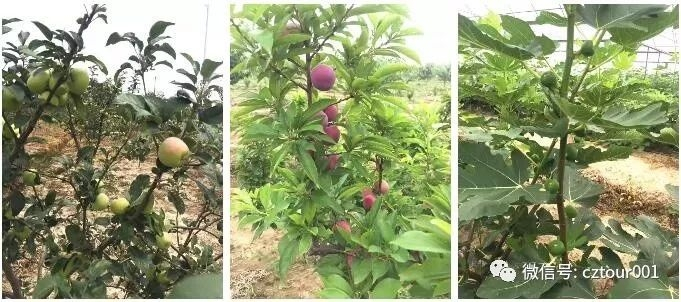 常州这10个被全省表彰的“网红村”、“创意园”，你去过吗？