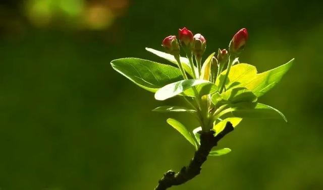 食管癌中晚期怎么治疗最好,食管癌晚期最好的处理方法