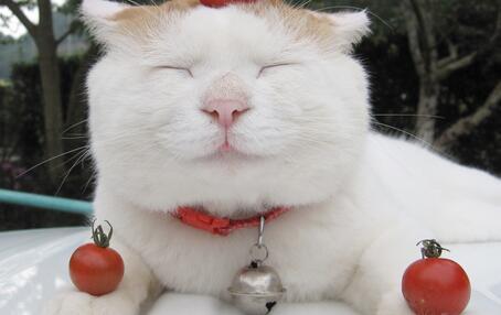 孩子看电视眯眯眼是怎么回事,孩子总是眯眯眼