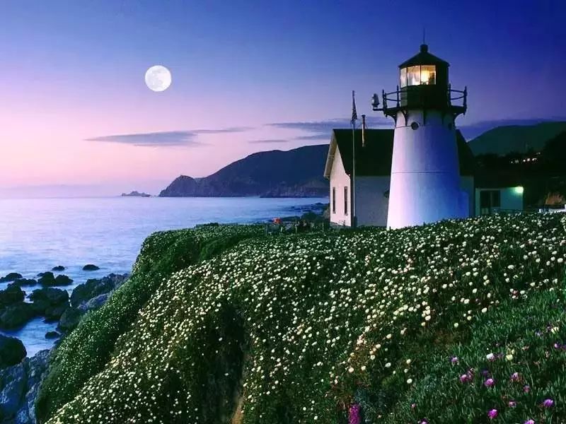 台湾自由行证件去哪里办理,台湾自由行需要收入证明吗