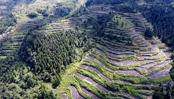 秀山电商赋能乡村振兴新路,秀山农村电商助力脱贫增收