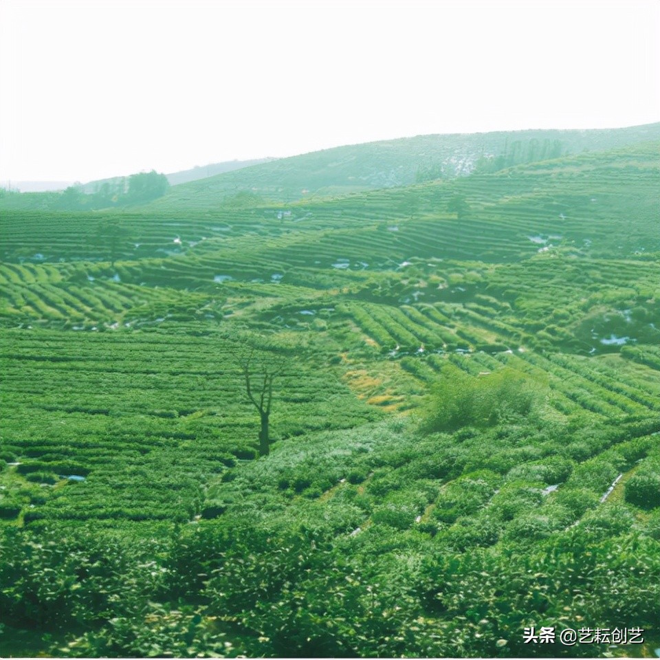 全国农产品地理标志分布地图,全国地理标志农产品