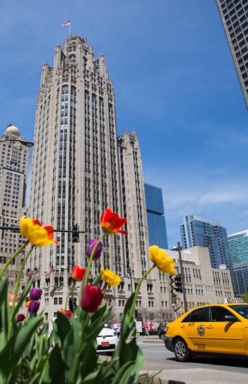 芝加哥有哪些著名建筑,芝加哥最富标志性的建筑物