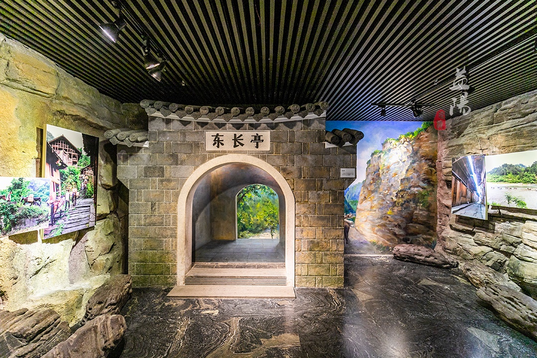 安化千两茶的四大优势,安化千两茶前世今生