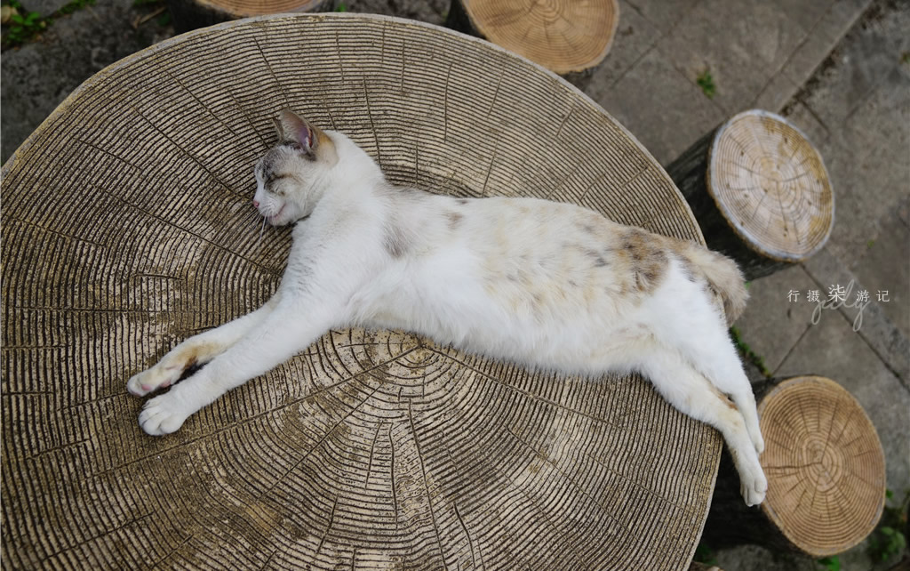 不只爱情演唱会,不只爱情粤语高潮版