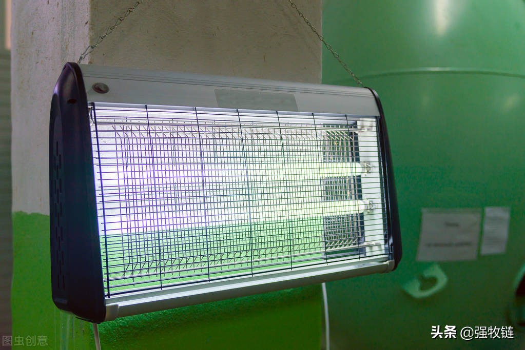 养殖场驱蚊子最有效的方法,养殖场蚊子苍蝇成灾怎么解决