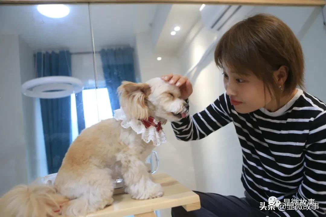 这届大学生有多野：23岁年入一亿，在淘宝卖狗狗奶茶