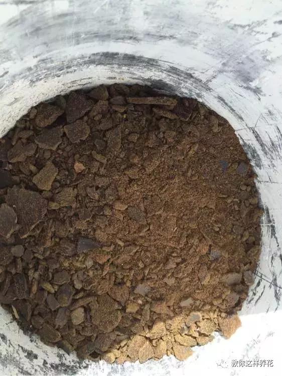 枕头芯掏1把扔盆里，透气不烂根，绿萝吊兰越长越疯，越长越旺