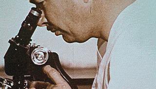 李博士讲座,倪海厦老师讲幽门螺杆菌