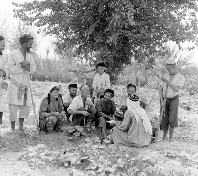 1956年，那位骑着毛驴去北京见毛主席的*疆新**老农，最后见到了吗？