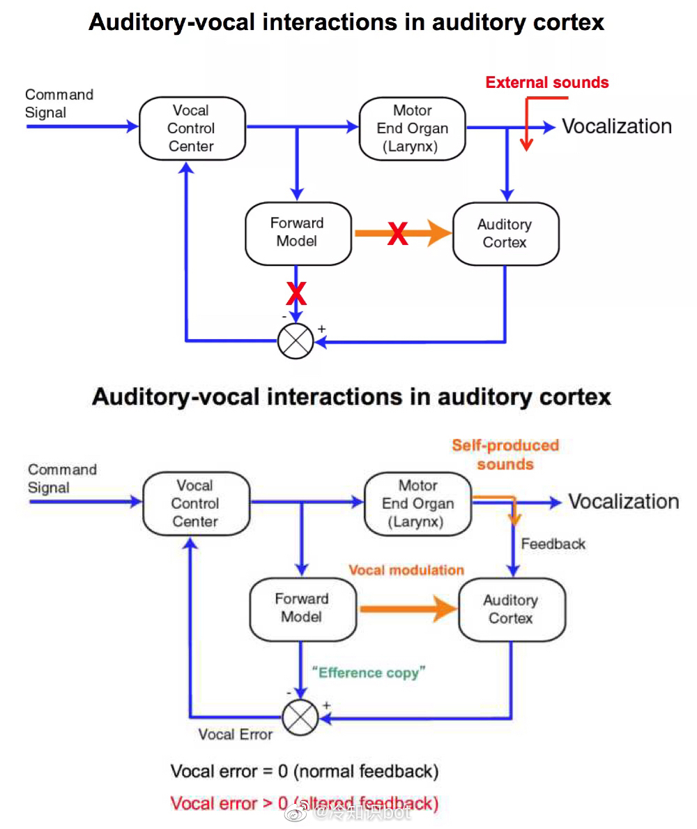人听自己的录音声音难听的原因,为什么听录音会觉得自己声音变了