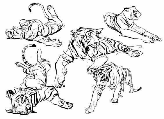 简笔画人物教程大全零基础成人,1000个适合零基础的简笔画教程