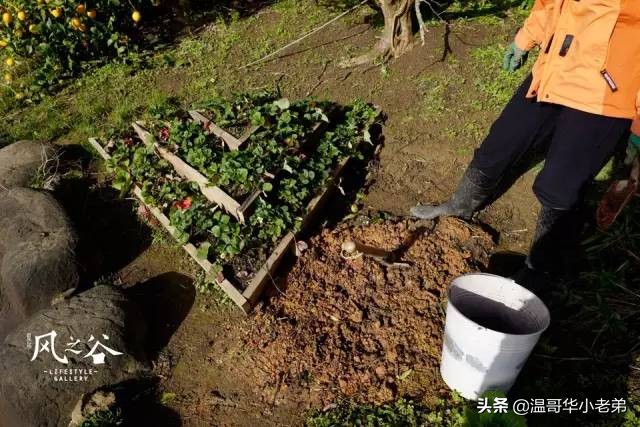 十几年的夫妻感悟,十年的老华人含泪感悟