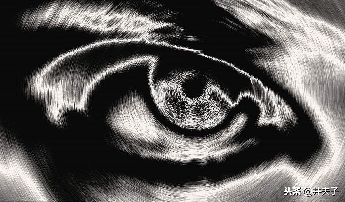 解读阴符经的书籍,儒学评论书籍