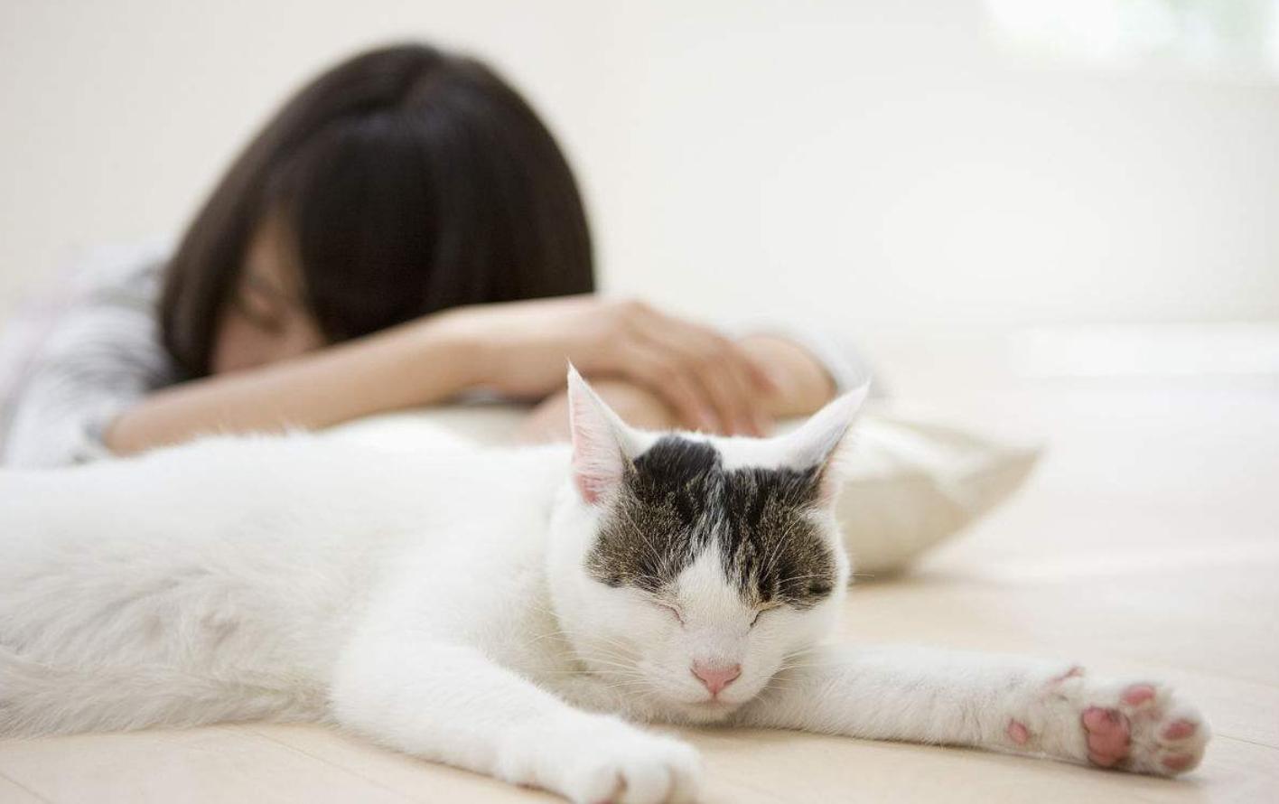 喵星人每晚睡觉,喵星人半夜乱跑