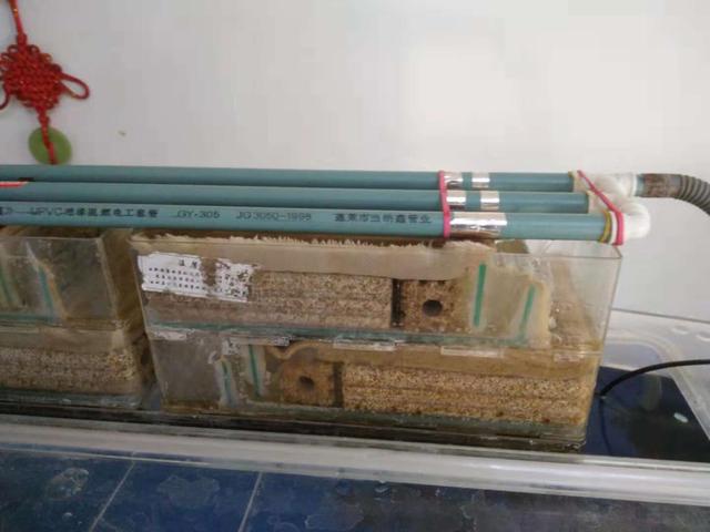 一个一米二的鱼缸需要多少滤材,1米8底滤鱼缸日常打理