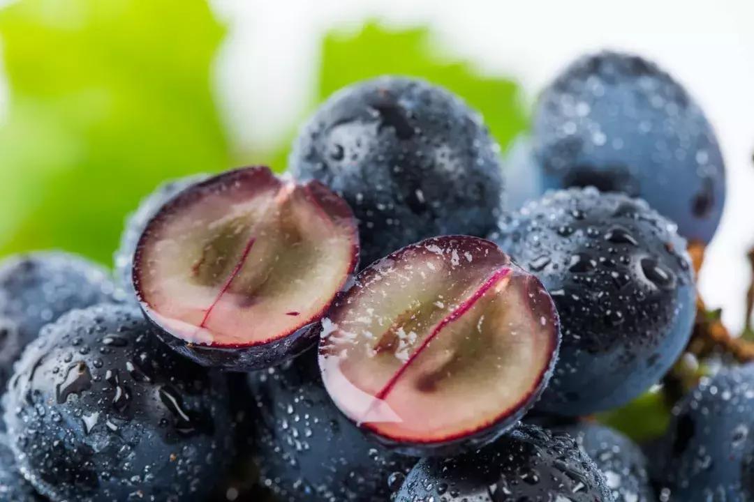 葡萄里含有哪些营养素,葡萄都有哪些营养与功效