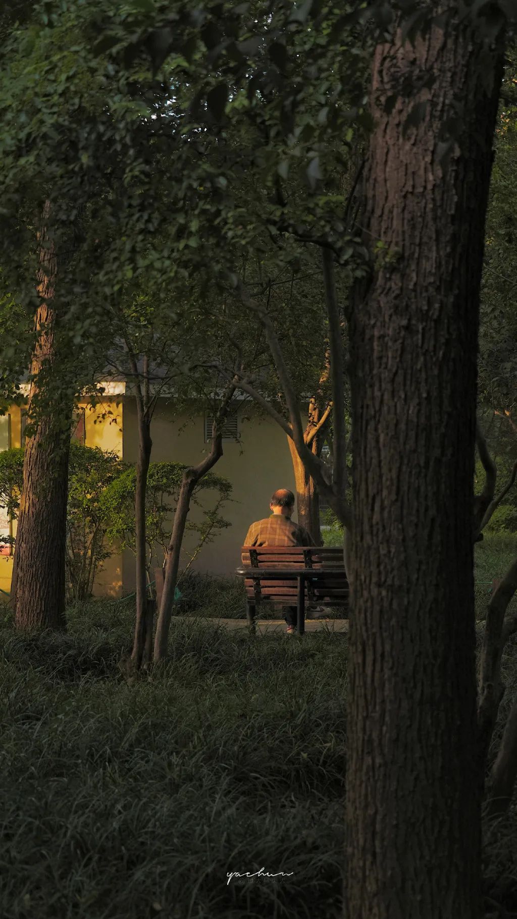 微信可爱聊天背景图壁纸,有趣的聊天背景图片壁纸