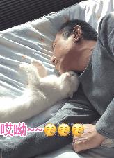 你见过猫咪的眼睛吗,你见过猫咪这种眼神吗