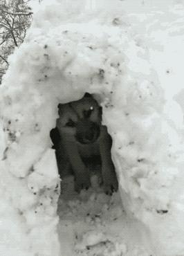 派派最新爆料,派派最新最真实报道