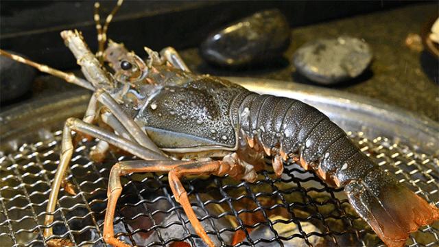 广州太古汇日式烤肉,广州太古汇附近烤肉