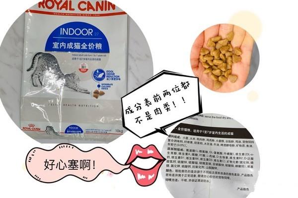 测评养猫,排名前十的猫粮养猫必看