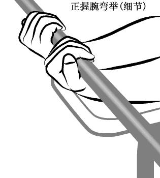 容易被忽视的部位小臂的训练,容易被人忽略的养护部位