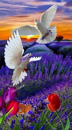 怎么样才能起个吉祥富贵的好名字,八字起名好名字