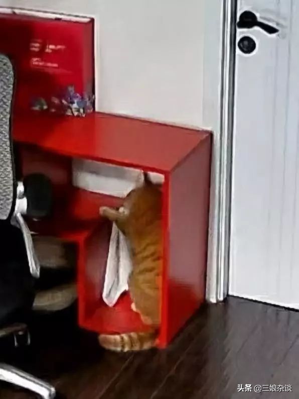 真的服了！北京2154万人口，我打个车都能拼到前男友……