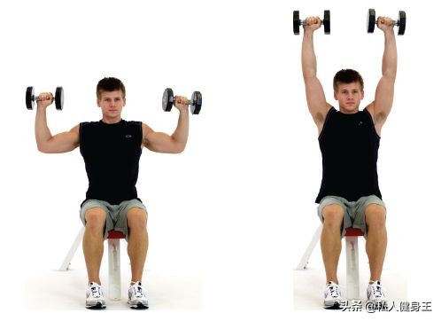哑铃六个动作高效练粗手臂,哑铃6个动作练全身