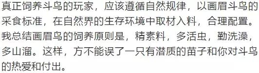画眉饲料中的小米怎么样处理,画眉除了饲料可以喂什么料