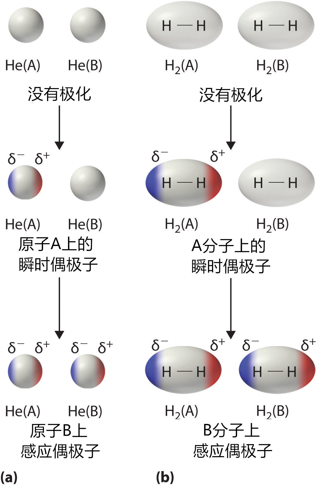 油和水不相溶的原理,油为什么不能跟水相溶