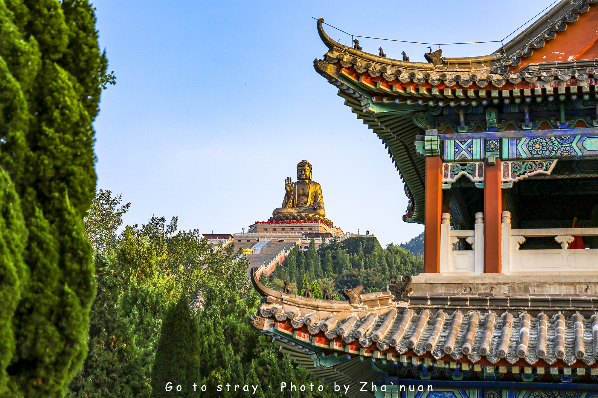 烟台世界第一大锡青铜坐佛,世界最大的锡青铜坐佛