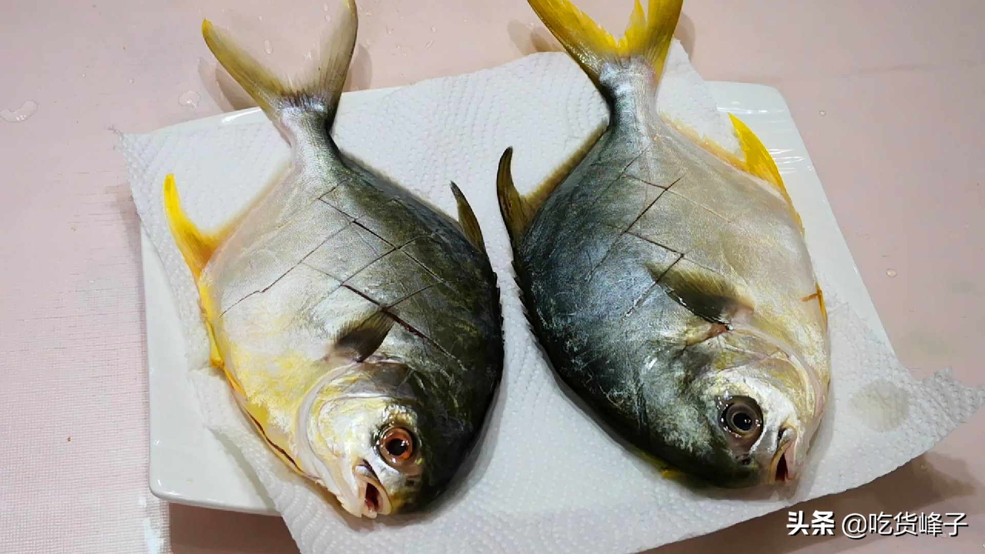 炖鱼出白汤的关键加凉水还是热水,炖鱼时汤加少了再加热水还是凉水