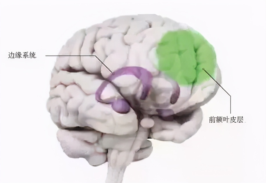 仙人一跳，*男猛**尖叫