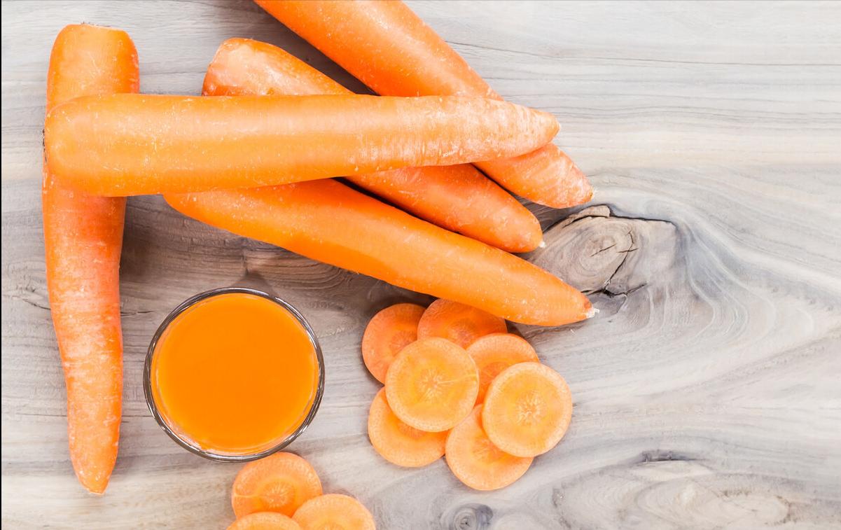 马犬和德牧杂交的后代好看吗,马犬凭什么叫板德牧一哥